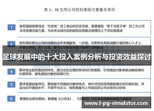 足球发展中的十大投入案例分析与投资效益探讨